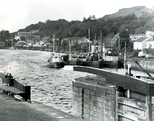 Bowling Harbour, 1981