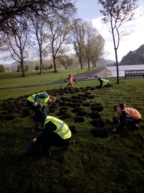 image of Bulb Planting