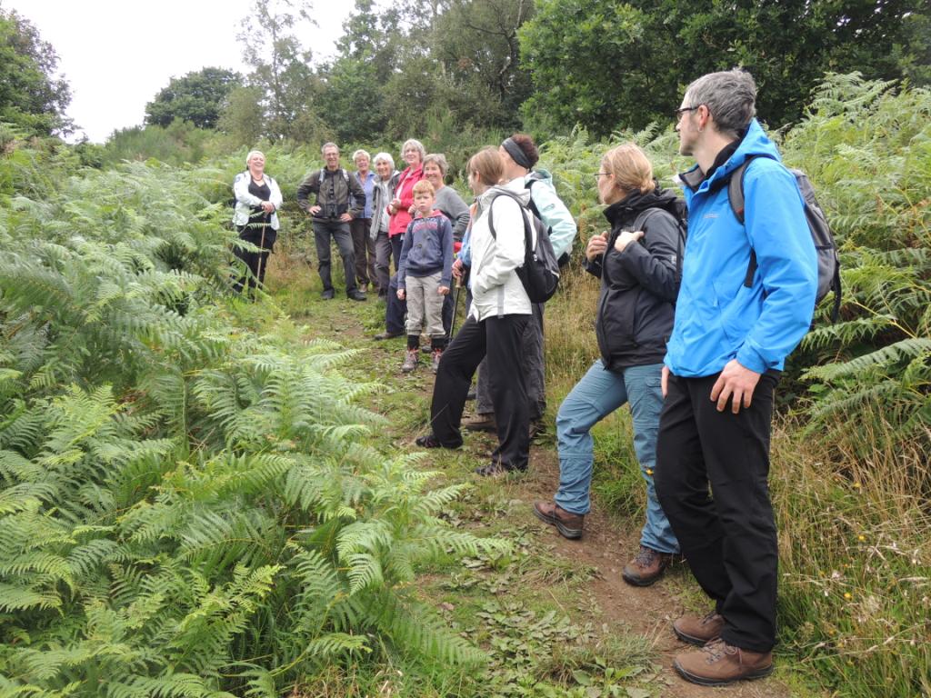 image of Dumpling Guided Walk