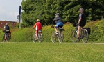 Four cyclists, cycling along a cycle path with hedge and trees in background