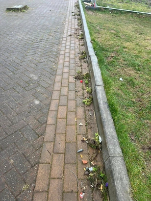 Before photo of a littered area in Central Alexandria.