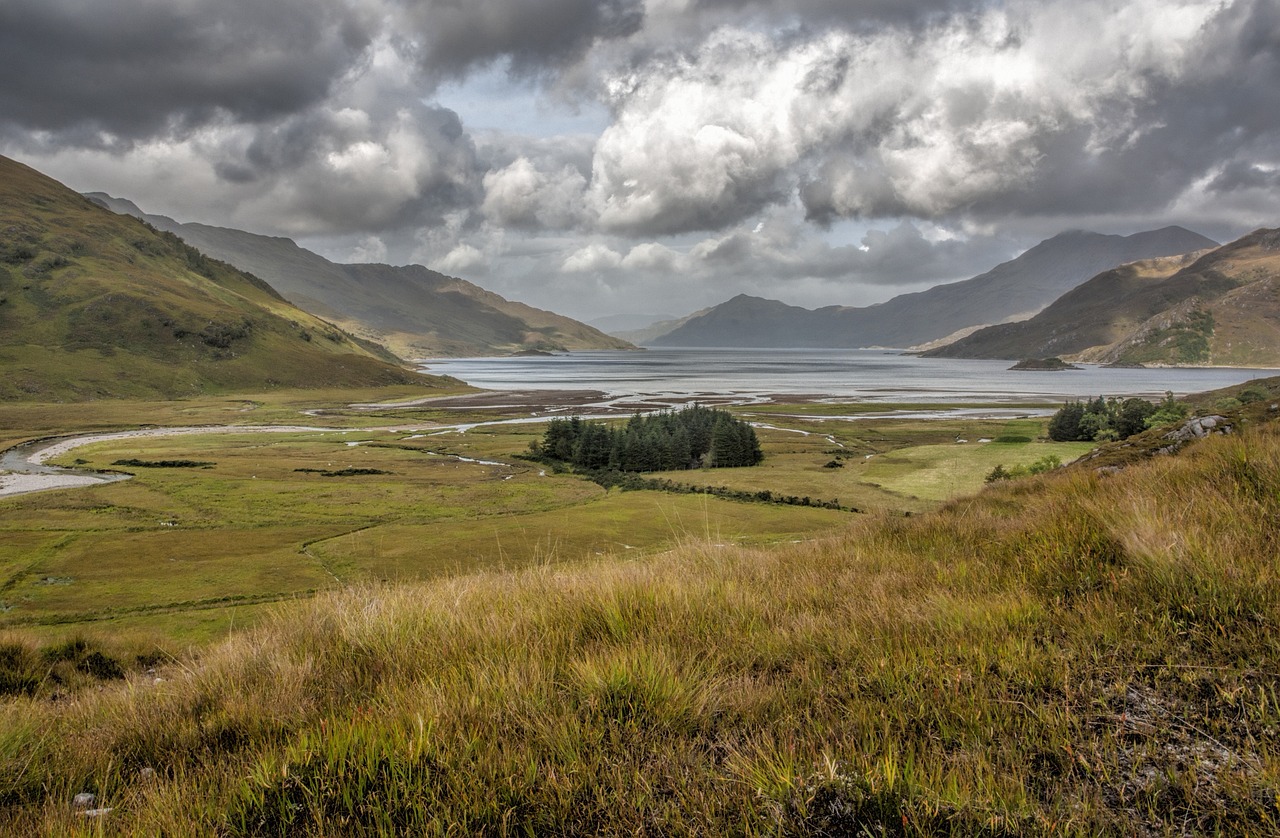 Grassy hill overlooking a Loch in the Scottish countryside